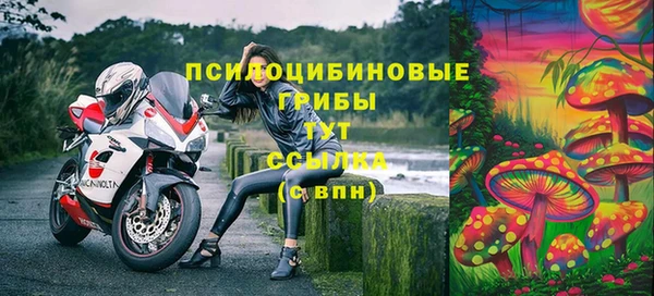 MDMA Белокуриха