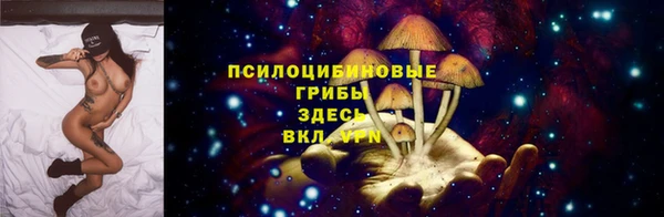 mdpv Сясьстрой