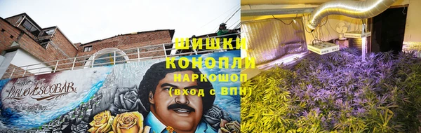 стаф Арсеньев